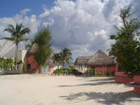 Foto del Hotel  Acamaya Reef