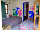 Img - Estándar
