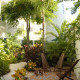 Aqualuna-Hotel-Gallery/007-Garden-View.jpg