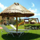 Best-Western-Cancun-Clipper-Club-Gallery/008 Garden.JPG