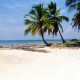 Catalonia-Royal-Bavaro-Gallery/Beach-02.jpg