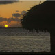 Catalonia-Royal-Bavaro-Gallery/Sunset-01.jpg