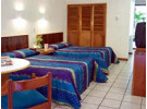 Img - Estándar