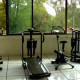 Diana-del-Bosque-Gallery/Serv-01.jpg