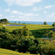 Excellence-Playa-Mujeres-Gallery/007 Gardens.jpg