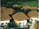 Img - Tropical Casitas