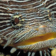 Fiesta-Americana-Cozumel-Dive-Resort-Gallery/Facility-05.jpg