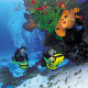 Fiesta-Americana-Cozumel-Dive-Resort-Gallery/Service-03.jpg