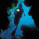 Fiesta-Americana-Cozumel-Dive-Resort-Gallery/Service-07.jpg