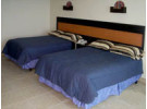 Img - Estandar ROH