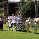 Grand-Palladium-Bavaro-Resort-and-Spa-Gallery/Service-15.jpg