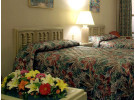 Img - Suite
