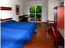 Img - Estándar vista al jardín