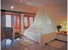 Img - Garden