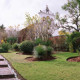 Mision-La-Muralla-Gallery/Service-04.jpg