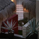 Mosquito-Beach-Hotel-Gallery/Service-04.jpg