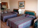 Img - Superior 1-BR Suite