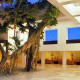 Playacar-Palace-Gallery/012 Lobby-01.jpg