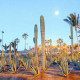 Presidente-InterContinental-Los-Cabos-Gallery/Serv-03.jpg