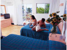 Img - Estándar