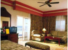 Img - Suite