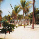 Riu-Palace-Mexico-Gallery/006 Beach-01.jpg