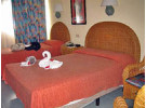 Img - Estandar