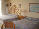 Img - Estándar