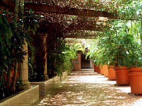 Hotel photos Suites Colonial