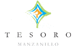 Logo Hotel Tesoro Manzanillo