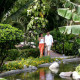 Velas-Vallarta-Suite-Resort-and-Convention-Center-Gallery/Service-03.JPG