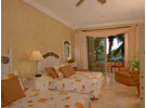 Img - De lujo vista al jardín