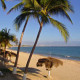 Vista-Vallarta-Suites-Gallery/Beach-01.jpg