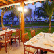 Viva-Wyndham-Tangerine-Gallery/Restaurants-01.jpg