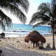 Zahra-Gallery/004 Beach-02.jpg