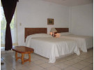 Img - Estándar