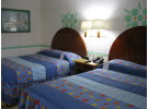 Img - Estándar