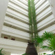 Hotel Emporio Ixtapa pasillo