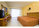 Img - Estándar