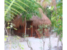 Img - Selvamar