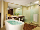 Img - Junior suite vista tropical