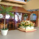 DSC04238