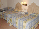 Img - Estándar