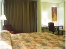 Img - Junior suite