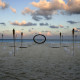 WEDD2