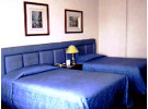 Img - Estándar
