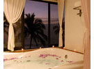 Img - Suite lunamielero