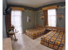 Img - Estándar