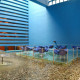 Blue%20Bar%20MEX[1]