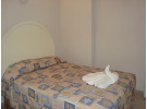Img - Estándar